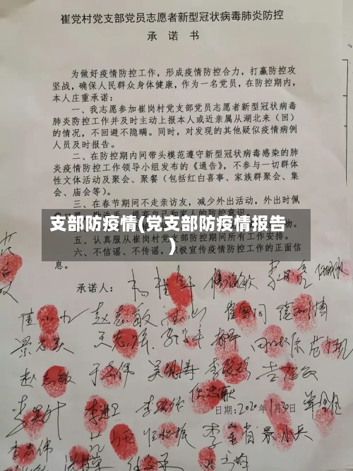 支部防疫情(党支部防疫情报告)