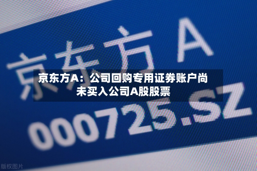 京东方A：公司回购专用证券账户尚未买入公司A股股票