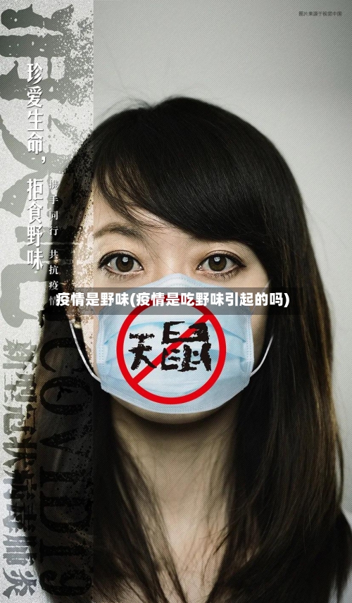 疫情是野味(疫情是吃野味引起的吗)