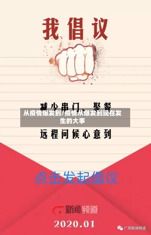 从疫情爆发到/疫情从爆发到现在发生的大事