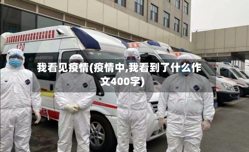 我看见疫情(疫情中,我看到了什么作文400字)