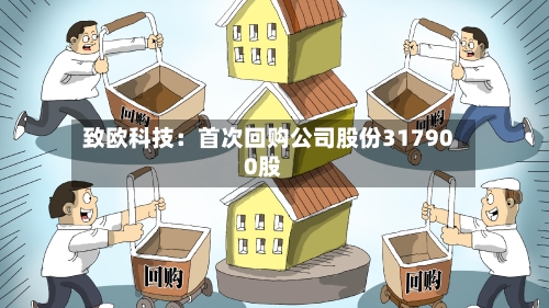 致欧科技:首次回购公司股份317900股-第2张图片