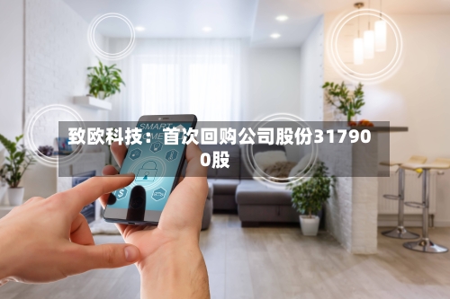 致欧科技:首次回购公司股份317900股-第3张图片