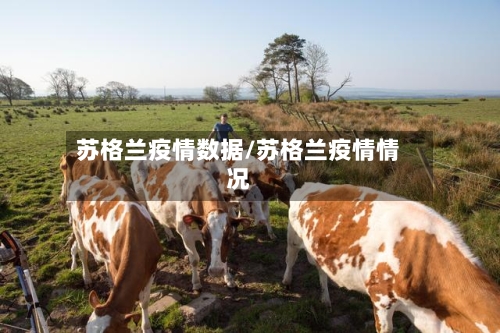 苏格兰疫情数据/苏格兰疫情情况
