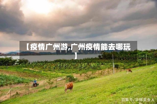 【疫情广州游,广州疫情能去哪玩】-第2张图片