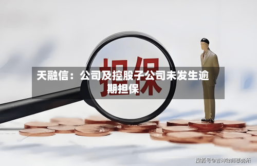 天融信：公司及控股子公司未发生逾期担保