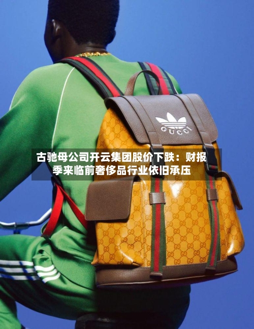 古驰母公司开云集团股价下跌:财报季来临前奢侈品行业依旧承压-第2张图片