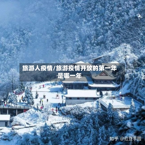 旅游人疫情/旅游疫情开放的第一年是哪一年