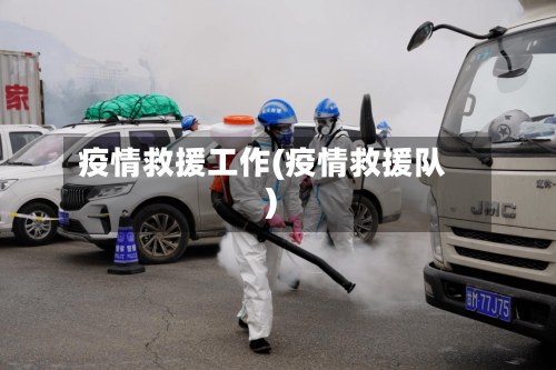 疫情救援工作(疫情救援队)-第2张图片