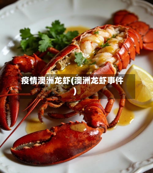 疫情澳洲龙虾(澳洲龙虾事件)