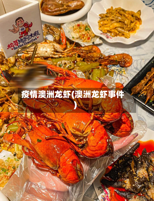 疫情澳洲龙虾(澳洲龙虾事件)-第2张图片