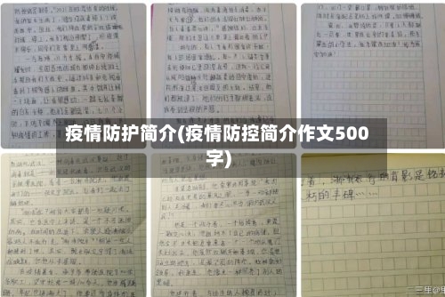 疫情防护简介(疫情防控简介作文500字)