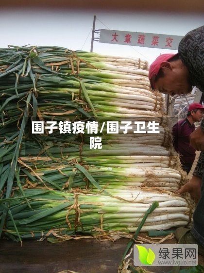 围子镇疫情/围子卫生院