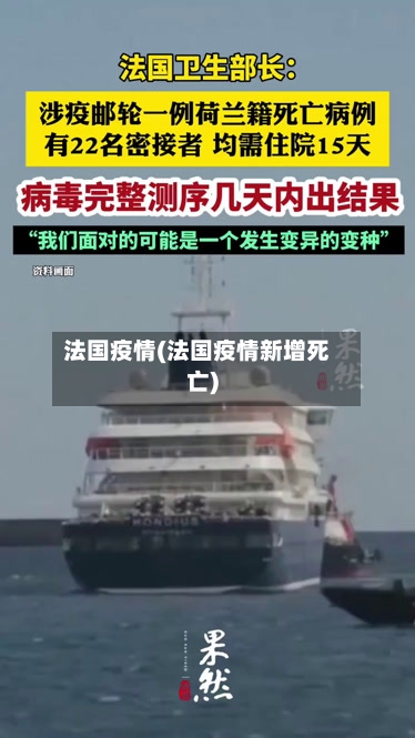 法国疫情(法国疫情新增死亡)-第3张图片