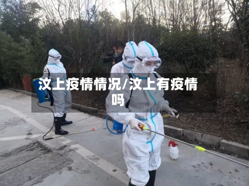 汶上疫情情况/汶上有疫情吗-第2张图片