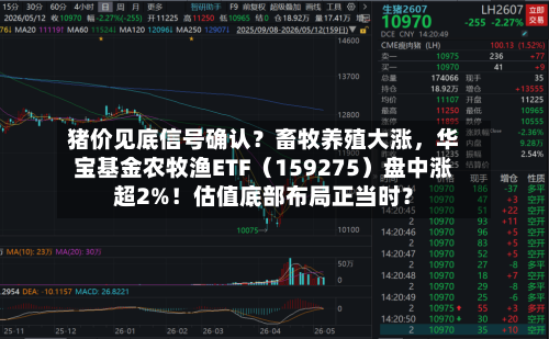 猪价见底信号确认？畜牧养殖大涨，华宝基金农牧渔ETF（159275）盘中涨超2%！估值底部布局正当时？-第2张图片