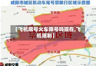【飞机限号火车限号吗现在,飞机限制】-第3张图片