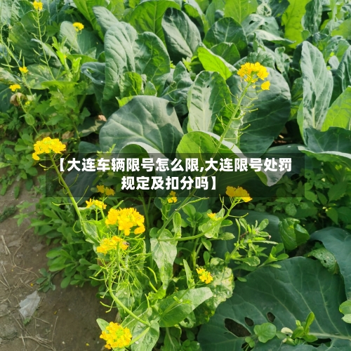 【大连车辆限号怎么限,大连限号处罚规定及扣分吗】-第2张图片