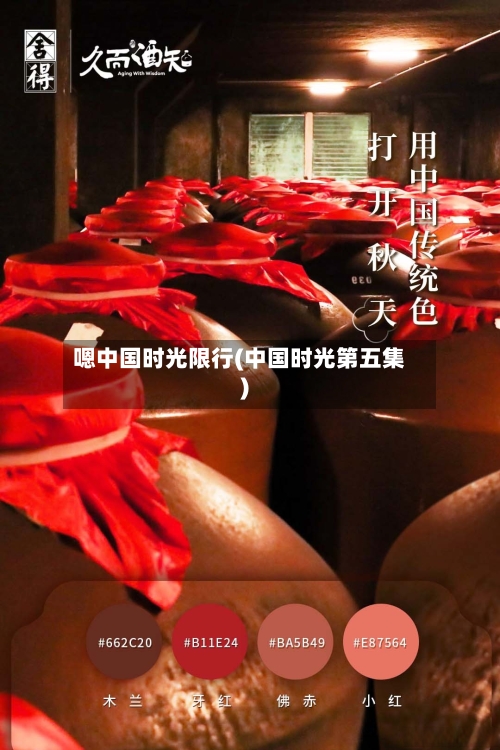 嗯中国时光限行(中国时光第五集)