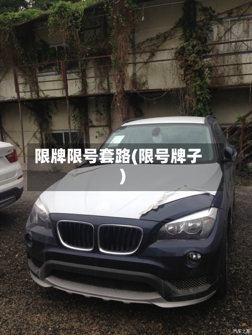 限牌限号套路(限号牌子)-第2张图片