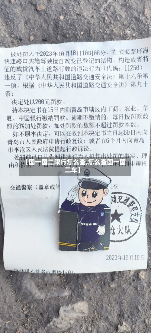 【国一国二限行怎么查,怎么查国一国二车】-第2张图片