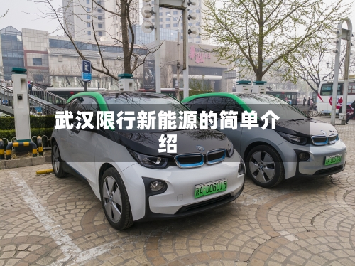 武汉限行新能源的简单介绍
