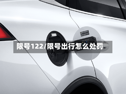 限号122/限号出行怎么处罚-第2张图片