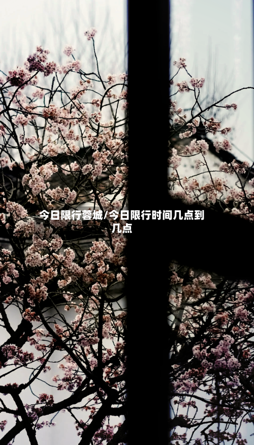 今日限行蓉城/今日限行时间几点到几点