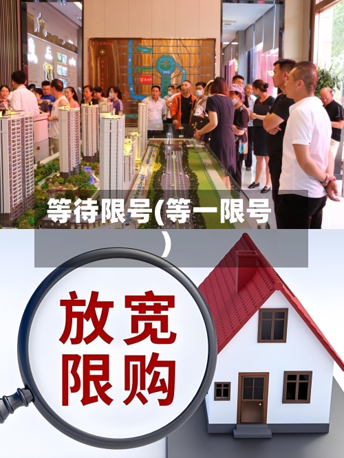 等待限号(等一限号)