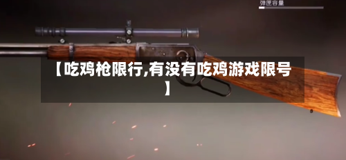 【吃鸡枪限行,有没有吃鸡游戏限号】-第3张图片