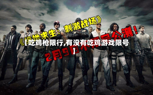 【吃鸡枪限行,有没有吃鸡游戏限号】