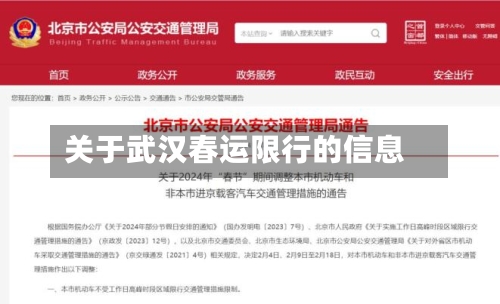 关于武汉春运限行的信息