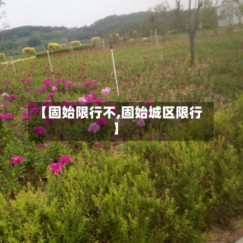 【固始限行不,固始城区限行】-第2张图片