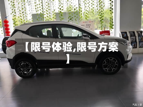 【限号体验,限号方案】