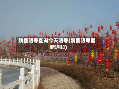 魏县限号查询今天限号(魏县限号最新通知)