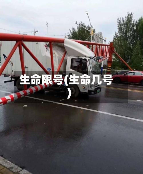 生命限号(生命几号)