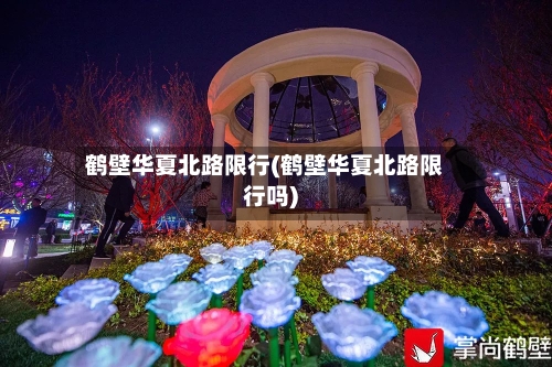 鹤壁华夏北路限行(鹤壁华夏北路限行吗)