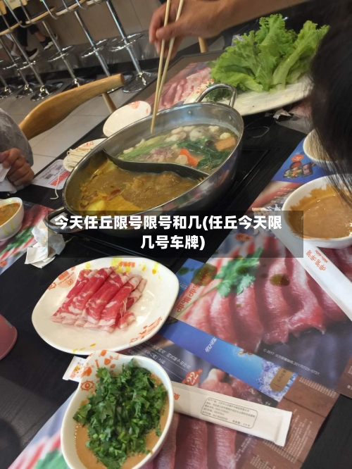 今天任丘限号限号和几(任丘今天限几号车牌)-第3张图片