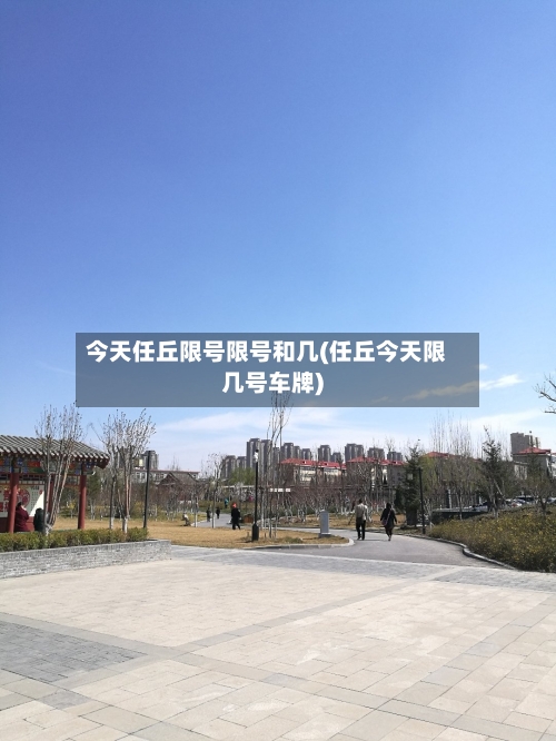 今天任丘限号限号和几(任丘今天限几号车牌)-第2张图片