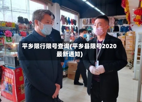 平乡限行限号查询(平乡县限号2020最新通知)-第2张图片
