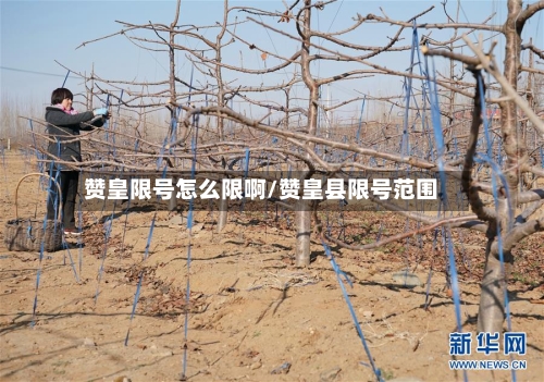 赞皇限号怎么限啊/赞皇县限号范围-第3张图片