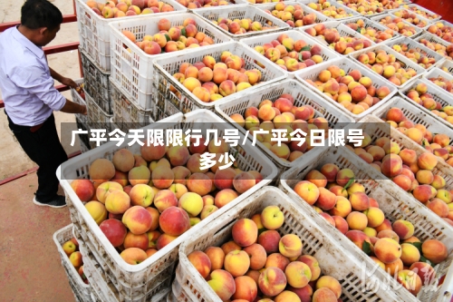 广平今天限限行几号/广平今日限号多少-第2张图片