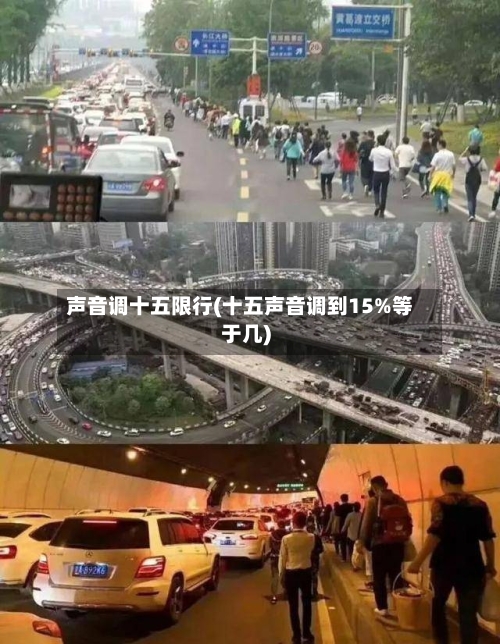 声音调十五限行(十五声音调到15%等于几)-第2张图片