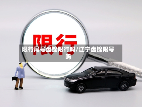 限行尾号盘锦限行吗/辽宁盘锦限号吗-第2张图片