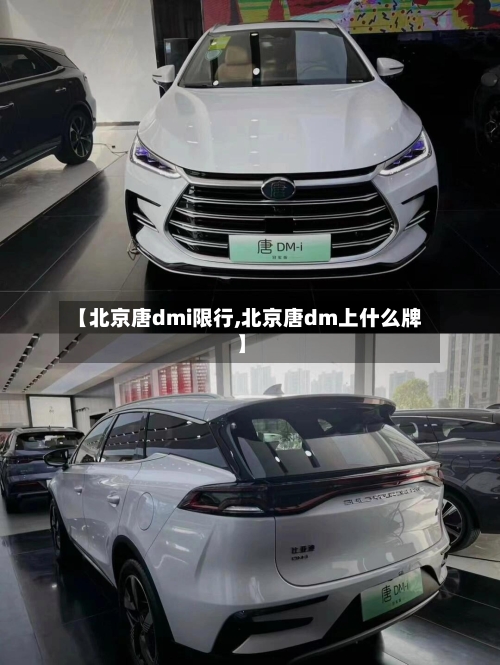 【北京唐dmi限行,北京唐dm上什么牌】-第2张图片