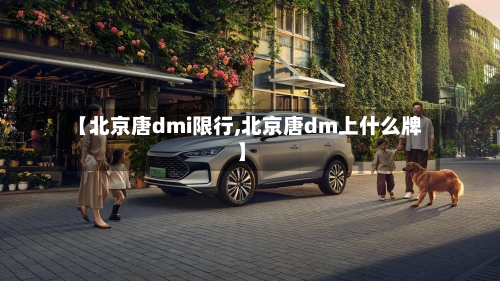 【北京唐dmi限行,北京唐dm上什么牌】