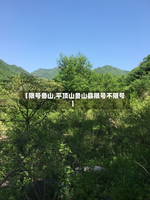【限号鲁山,平顶山鲁山县限号不限号】