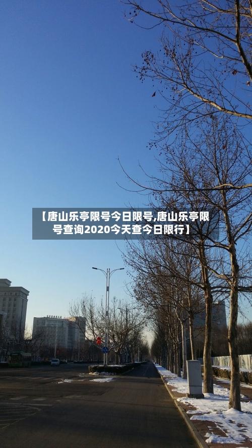 【唐山乐亭限号今日限号,唐山乐亭限号查询2020今天查今日限行】
