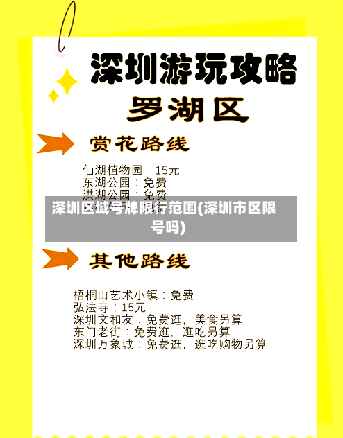深圳区域号牌限行范围(深圳市区限号吗)-第2张图片