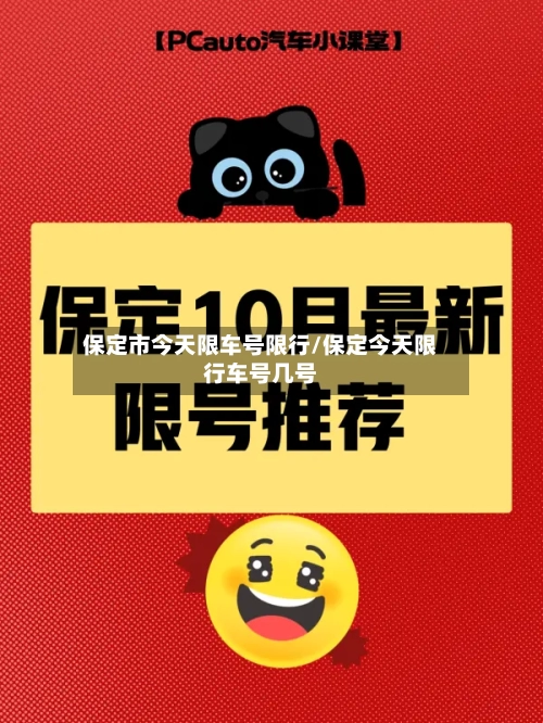 保定市今天限车号限行/保定今天限行车号几号-第2张图片